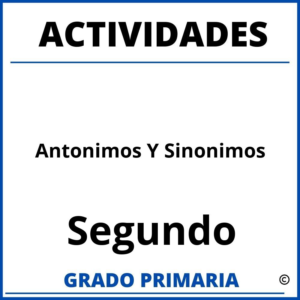 Actividades De Antonimos Y Sinonimos Para Segundo Grado