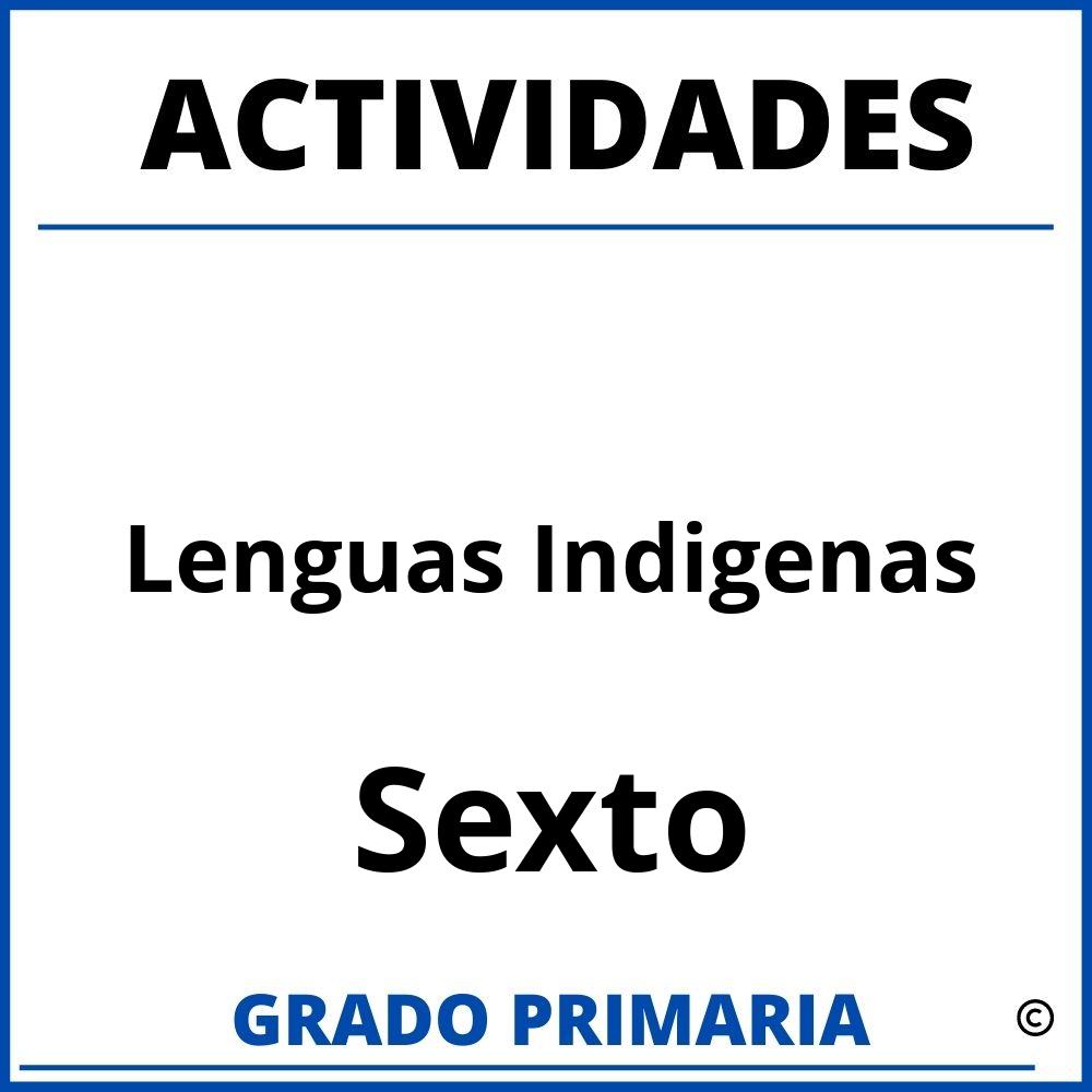 Actividades De Lenguas Indigenas Sexto Grado